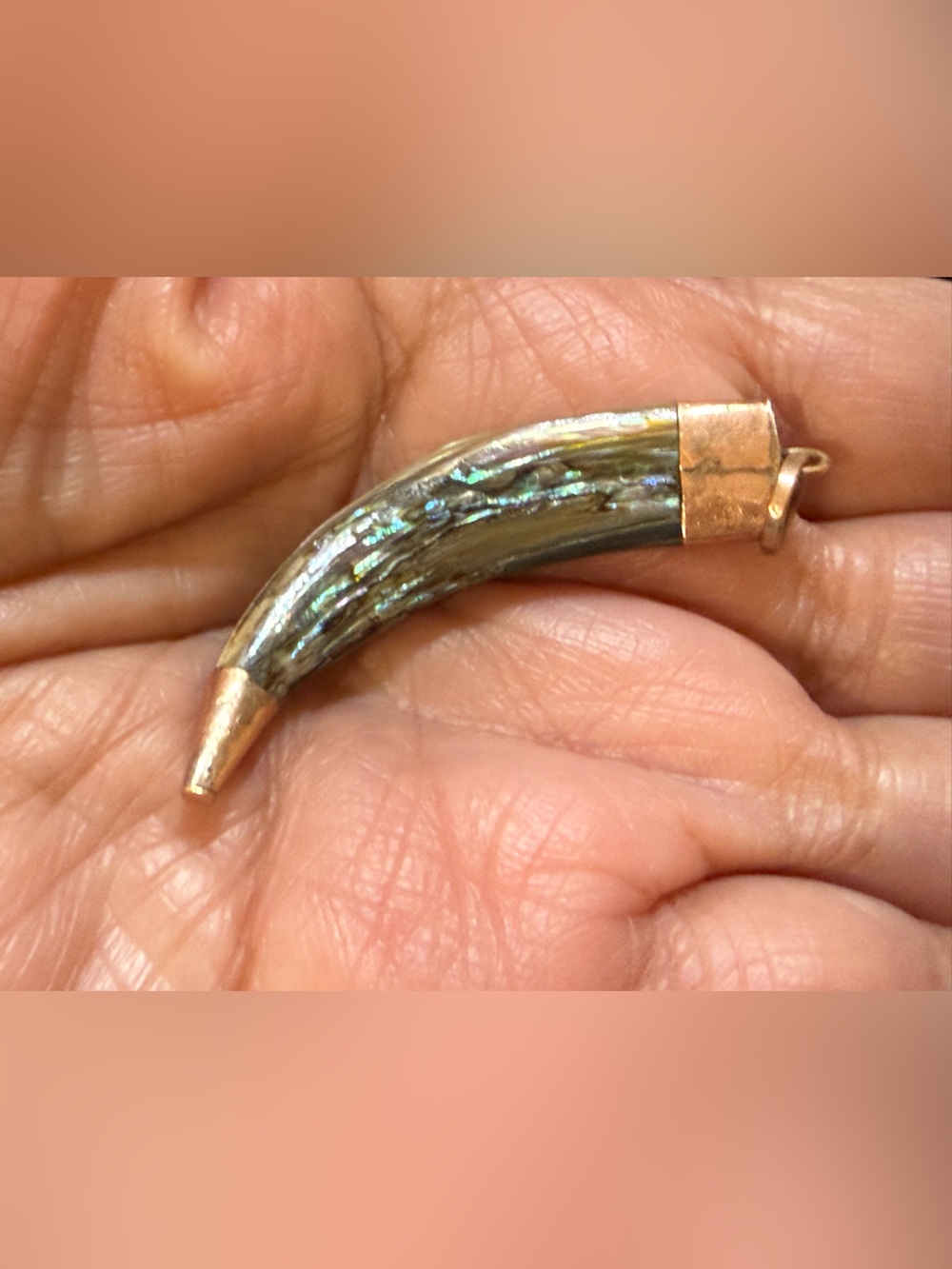 Handcrafted Abalone Horn Pendant in Iridescent Green with Gold Cap
